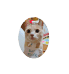 ひろこんぶスタンピ（個別スタンプ：16）