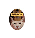 ひろこんぶスタンピ（個別スタンプ：17）
