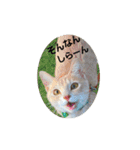 ひろこんぶスタンピ（個別スタンプ：19）