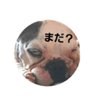 ひろこんぶスタンピ（個別スタンプ：21）