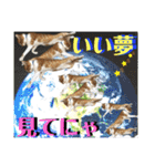 ねねこ猫にゃんこ(実写猫と実写背景〜)（個別スタンプ：37）