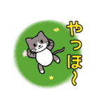 でかい文字で見やすい猫のスタンプ（個別スタンプ：1）