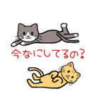 でかい文字で見やすい猫のスタンプ（個別スタンプ：4）