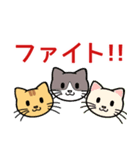 でかい文字で見やすい猫のスタンプ（個別スタンプ：8）