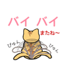 でかい文字で見やすい猫のスタンプ（個別スタンプ：10）