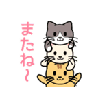 でかい文字で見やすい猫のスタンプ（個別スタンプ：11）