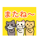 でかい文字で見やすい猫のスタンプ（個別スタンプ：13）