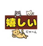 でかい文字で見やすい猫のスタンプ（個別スタンプ：20）