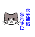 でかい文字で見やすい猫のスタンプ（個別スタンプ：30）