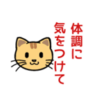 でかい文字で見やすい猫のスタンプ（個別スタンプ：31）