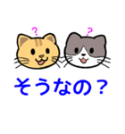 でかい文字で見やすい猫のスタンプ（個別スタンプ：37）