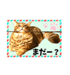 ちゃちゃ＆レンの日常で使える猫スタンプ（個別スタンプ：21）