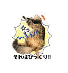 ちゃちゃ＆レンの日常で使える猫スタンプ（個別スタンプ：40）