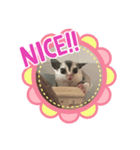フクロモモンガももちゃん（個別スタンプ：1）