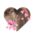 フクロモモンガももちゃん（個別スタンプ：8）