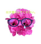 あじさいさんで敬語のごあいさつ（個別スタンプ：11）