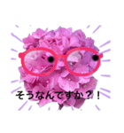 あじさいさんで敬語のごあいさつ（個別スタンプ：12）