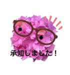 あじさいさんで敬語のごあいさつ（個別スタンプ：13）