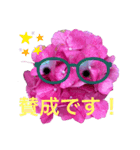 あじさいさんで敬語のごあいさつ（個別スタンプ：16）