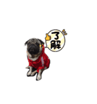 ちくわ(パグ)の日常第2段（個別スタンプ：4）