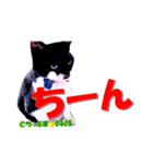 ちっぷ家★0405③（個別スタンプ：1）