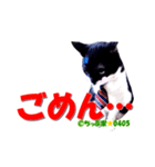 ちっぷ家★0405③（個別スタンプ：2）