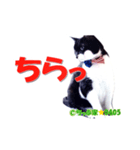 ちっぷ家★0405③（個別スタンプ：3）