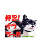 ちっぷ家★0405③（個別スタンプ：5）