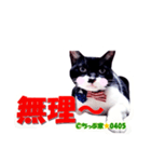 ちっぷ家★0405③（個別スタンプ：7）