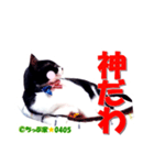 ちっぷ家★0405③（個別スタンプ：9）
