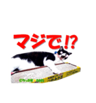 ちっぷ家★0405③（個別スタンプ：10）