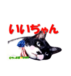 ちっぷ家★0405③（個別スタンプ：13）