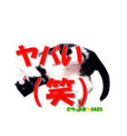 ちっぷ家★0405③（個別スタンプ：14）