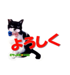 ちっぷ家★0405③（個別スタンプ：16）