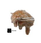 ねこ（ペルシャ）（個別スタンプ：17）