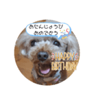 チコぷー（個別スタンプ：4）