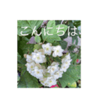 ごあいさつ(花編)（個別スタンプ：2）