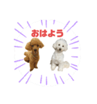 チップとチョパスタンプ（個別スタンプ：3）