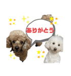 チップとチョパスタンプ（個別スタンプ：12）