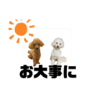 チップとチョパスタンプ（個別スタンプ：21）