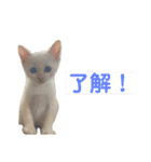 ジェフくんの日常（個別スタンプ：1）