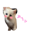 ジェフくんの日常（個別スタンプ：3）
