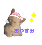 ジェフくんの日常（個別スタンプ：4）
