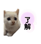 ジェフくんの日常（個別スタンプ：5）