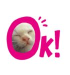 ジェフくんの日常（個別スタンプ：7）