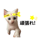 ジェフくんの日常（個別スタンプ：11）