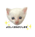 ジェフくんの日常（個別スタンプ：14）