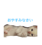 ジェフくんの日常（個別スタンプ：15）