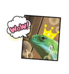 ろびえ2（個別スタンプ：11）