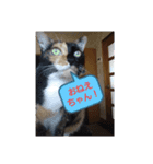 デビルミミシャン（個別スタンプ：1）